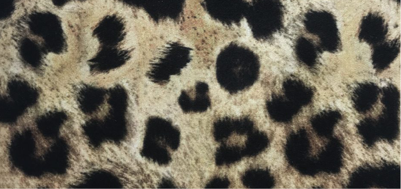 Leopard mist